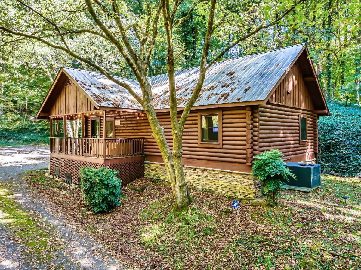 Bear Nakid Villa Pigeon Forge Luaran gambar